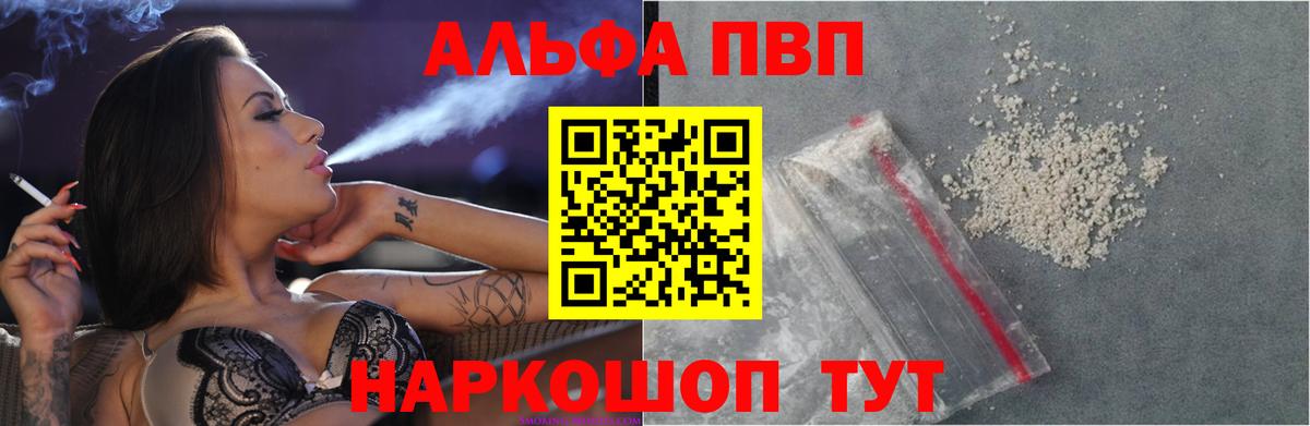 A-PVP СК Санкт-Петербург