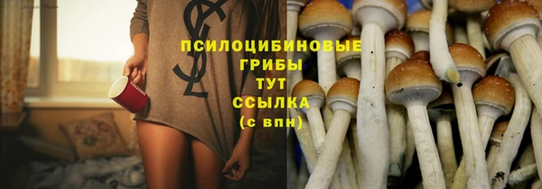 герыч Арсеньев