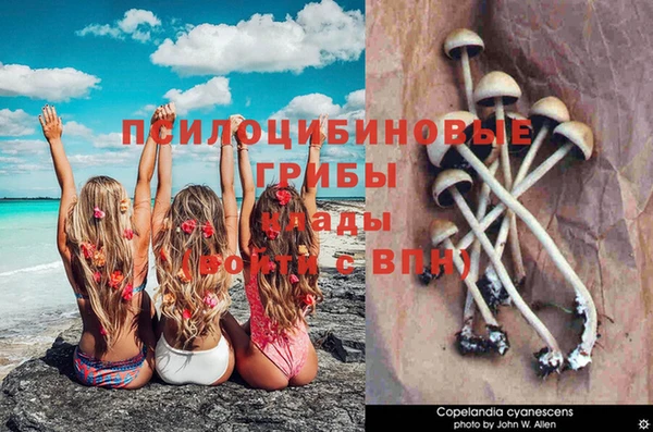скорость Аркадак