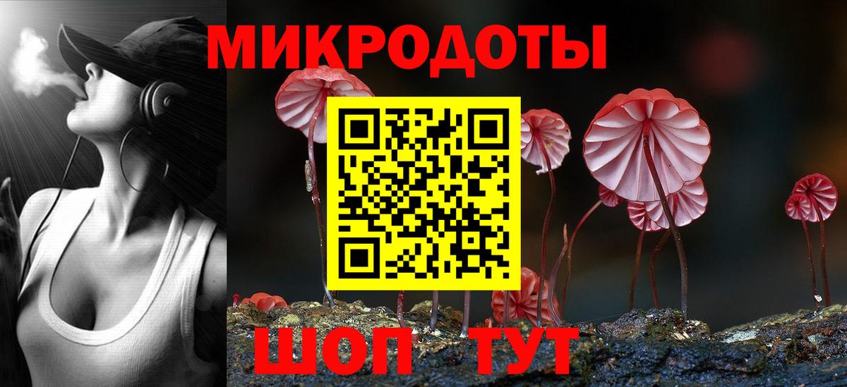 Санкт-Петербург  Псилоцибиновые грибы Cubensis  Вход с VPN 
